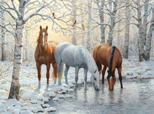 Load image into Gallery viewer, Wild Beautiful Horses