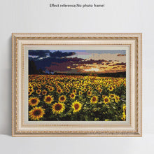 Load image into Gallery viewer, Sunflower Field