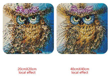Load image into Gallery viewer, Owl Square Diamond Kit