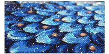 Load image into Gallery viewer, Best Selling Majestic Blue Peacock Diamond Painting Kit