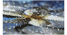 Load image into Gallery viewer, Best Selling Majestic Blue Peacock Diamond Painting Kit