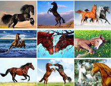 Load image into Gallery viewer, Horse Diamond Paintings