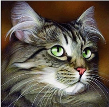 Load image into Gallery viewer, Cat 5D Diamond Painting Kit