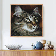 Load image into Gallery viewer, Cat 5D Diamond Painting Kit