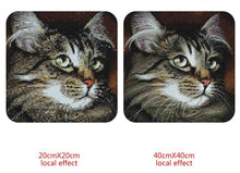 Load image into Gallery viewer, Cat 5D Diamond Painting Kit