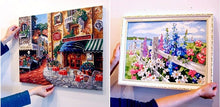Load image into Gallery viewer, paint by numbers framed