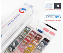 Load image into Gallery viewer, DIY 5 Piece Diamond Painting Kits