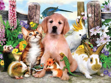 Load image into Gallery viewer, diamond embroidery kit
