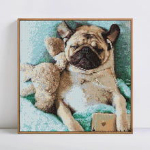Load image into Gallery viewer, Paint Cute Dog with Diamonds