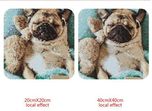 Load image into Gallery viewer, Paint Cute Dog with Diamonds