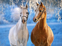 Load image into Gallery viewer, horse diamond painting