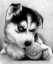 Load image into Gallery viewer, Cute Puppy Paint by Diamonds