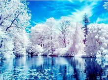 Load image into Gallery viewer, paint by diamonds kit