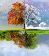 Load image into Gallery viewer, best diamond painting kit