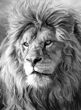 Load image into Gallery viewer, lion diamond painting
