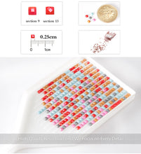 Load image into Gallery viewer, Library Diamond Art Kit