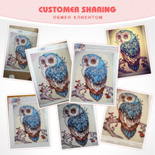 Load image into Gallery viewer, Owl