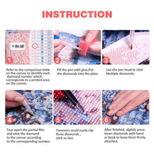 Load image into Gallery viewer, Roses DIY Diamond Kits