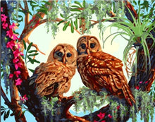 Load image into Gallery viewer, best birds paint by numbers