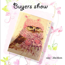 Load image into Gallery viewer, 5D Owl Diamond Painting Kit for Adults
