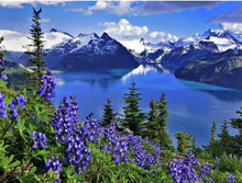 Load image into Gallery viewer, Blue Lake