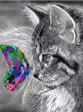 Load image into Gallery viewer, Cat and Butterfly