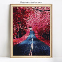 Load image into Gallery viewer, Long Road Diamond Painting Kit