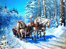 Load image into Gallery viewer, diamond painting winter