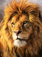 Load image into Gallery viewer, lion diamond painting