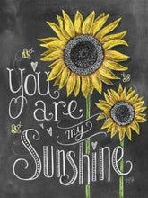 Load image into Gallery viewer, You are My Sunshine