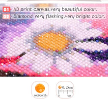 Load image into Gallery viewer, Santa Diamond Painting