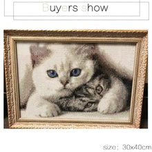 Load image into Gallery viewer, Gorgeous Cats