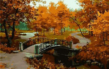 Load image into Gallery viewer, Mix painting kits Collection of Flowers women & Animals