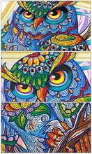 Load image into Gallery viewer, Owl - Artistic Diamond Painting