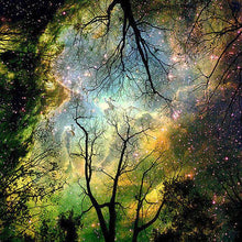 Load image into Gallery viewer, Magic Tree Painting with Diamond Kits