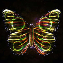 Load image into Gallery viewer, Butterfly Collection of Paintings