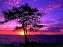 Load image into Gallery viewer, Stunning Sky Diamond Painting