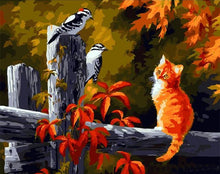 Load image into Gallery viewer, cat and birds adult diy painting