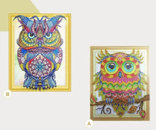 Load image into Gallery viewer, Special Owl Diamond Art Kit