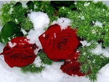 Load image into Gallery viewer, roses diamond painting