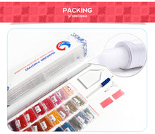 Load image into Gallery viewer, Santa on Christmas 5D Diamond Painting Kits