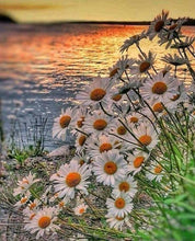 Load image into Gallery viewer, sunset diamond art kit