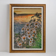 Load image into Gallery viewer, Daisies, Sunset and Sea