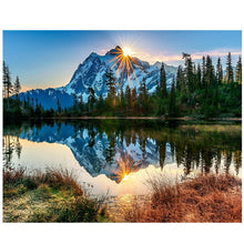 Load image into Gallery viewer, Wonderful Collection of  Paint by Number Kits