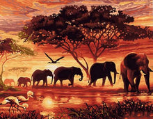 Load image into Gallery viewer, Wonderful Collection of  Paint by Number Kits