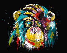 Load image into Gallery viewer, Wonderful Collection of  Paint by Number Kits
