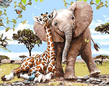 Load image into Gallery viewer, Wonderful Collection of  Paint by Number Kits