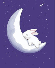 Load image into Gallery viewer, rabbit paint by numbers