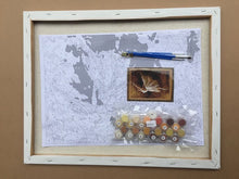 Load image into Gallery viewer, Simple Paint by Numbers Kit