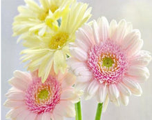 Load image into Gallery viewer, full diamond painting